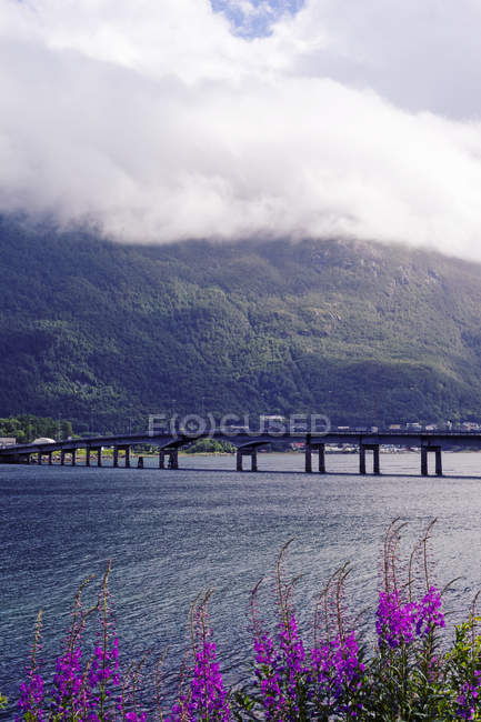 Scenic view of bridge under white fluffy clouds — Stock Photo