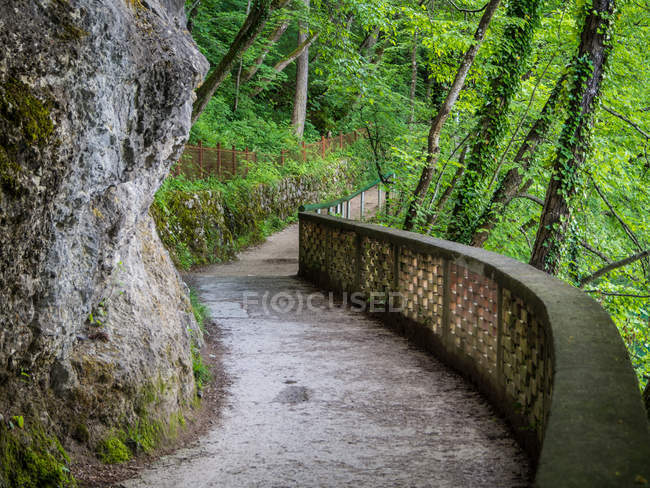 Vista panorámica del sendero a través del bosque, Lago Bled, Eslovenia - foto de stock