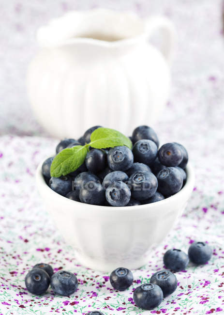 Fresh Blueberries in white bowl on patterned tablecloth — Stock Photo