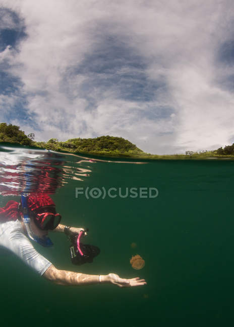 Woman snorkeling underwater reaching for a jellyfish — Stock Photo