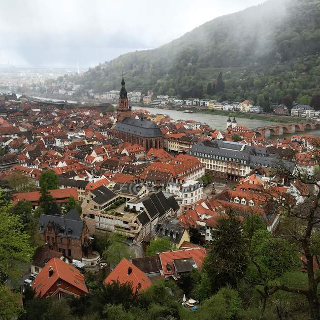 Vista panorâmica da cidade na chuva, Heidelberg, Alemanha — Fotografia de Stock