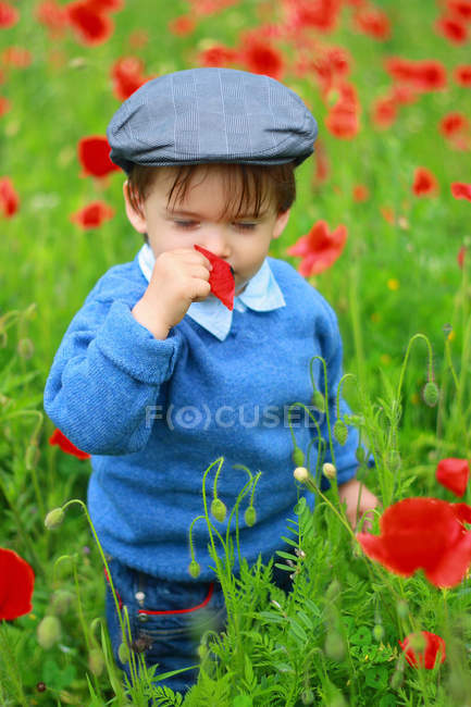 Kleiner Junge steht auf Feld und riecht Mohn — Stockfoto
