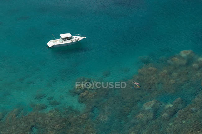 Vista aérea de dos personas haciendo snorkel, Maui, Hawaii, America, USA - foto de stock