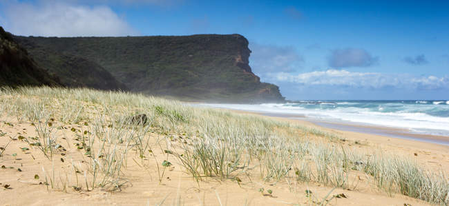 Vista panorámica de la hermosa playa, Wollongong, Nueva Gales del Sur, Australia - foto de stock