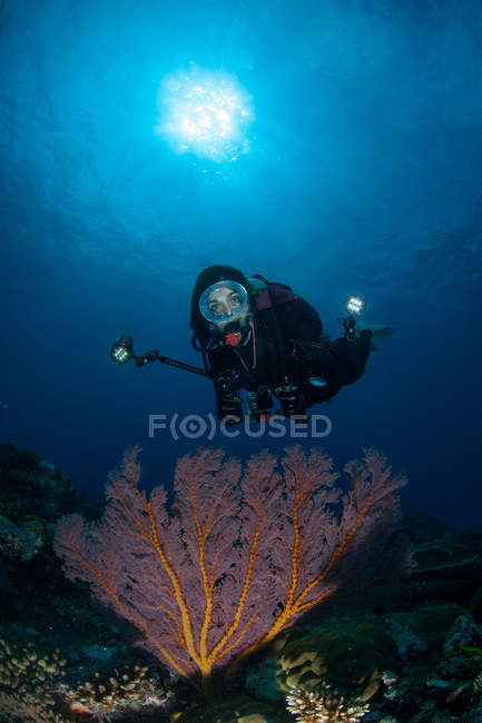 Woman scuba diver photographing coral underwater — Stock Photo