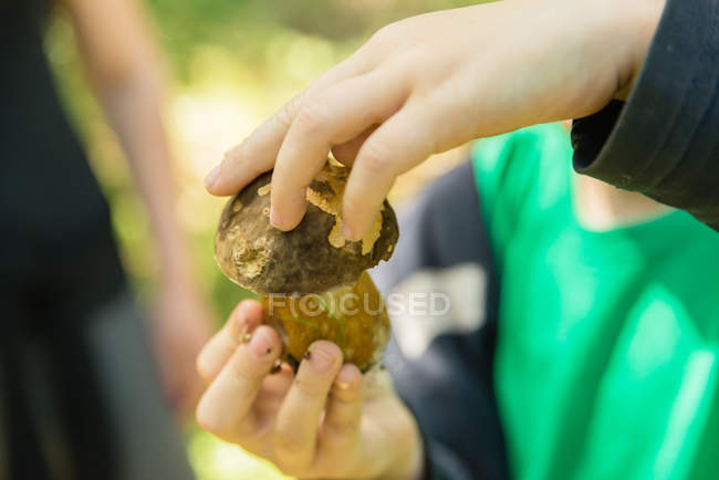Nahaufnahme eines Jungen mit frisch gepflücktem Pilz — Stockfoto
