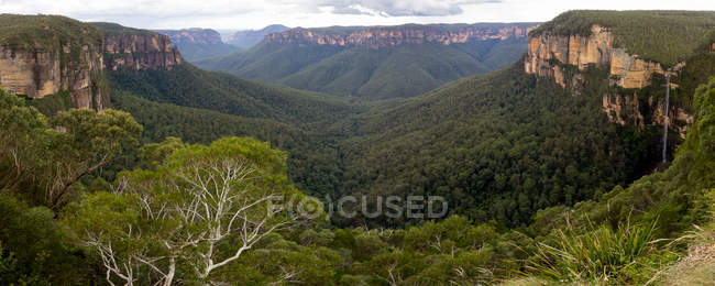 Vista panorámica de las Montañas Azules, Nueva Gales del Sur, Australia - foto de stock