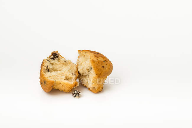 Blueberry muffin torn in half on white background — Stock Photo