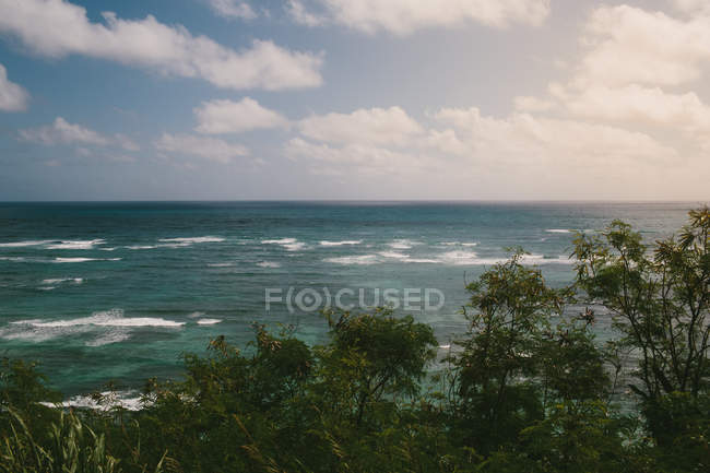 Vista cênica do mar sobre topos de árvores — Fotografia de Stock