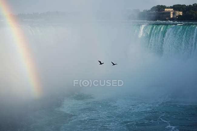 Сценический вид двух птиц, пролетающих над Ниагарским водопадом, Канада — стоковое фото