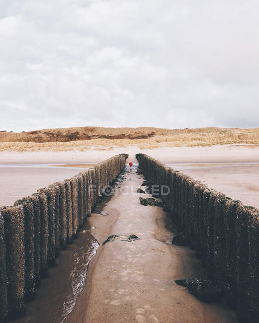 Vue panoramique le long de deux épis vers la plage vide, Pays-Bas — Photo de stock