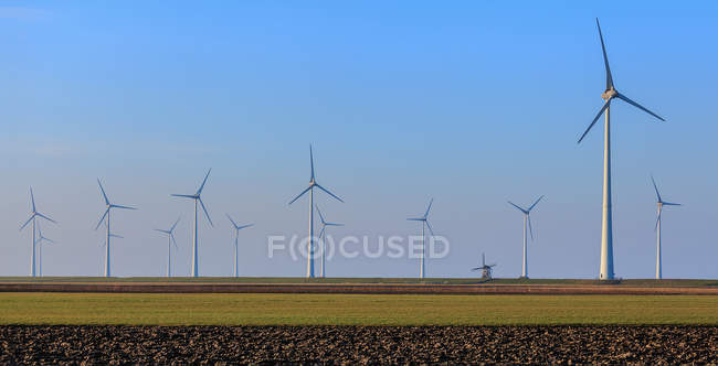 Righe di turbine eoliche, Eemshaven, Groningen, Paesi Bassi — Foto stock