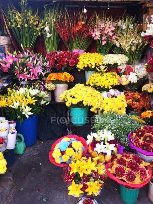 Різні квіти для продажу на квітковому ринку — стокове фото