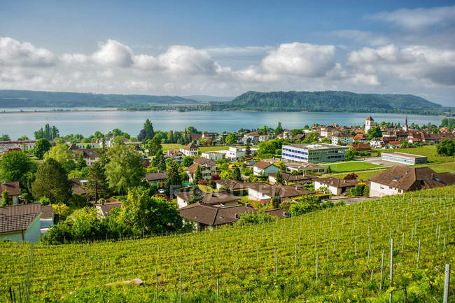 Vista panoramica del villaggio di La Neuveille e del lago di Biel, Svizzera — Foto stock