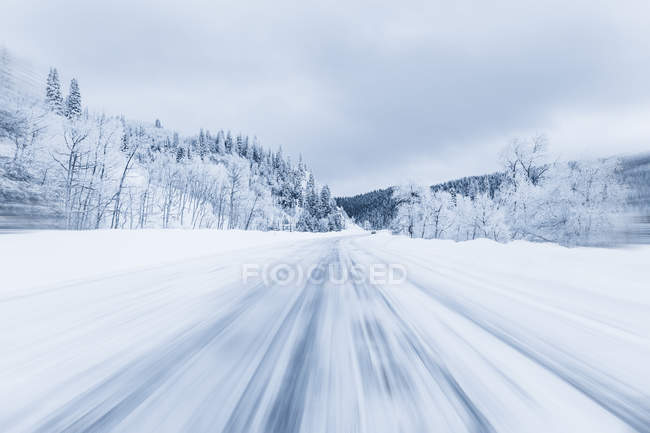 Malerischen Blick auf schneebedeckten Wald Autobahn, Dampfboot-Quellen, colorado, Amerika, USA — Stockfoto