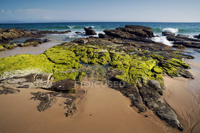 Vista panorámica de las rocas cubiertas de musgo en la playa, Punta Paloma, Tarifa, Andalucia, España - foto de stock