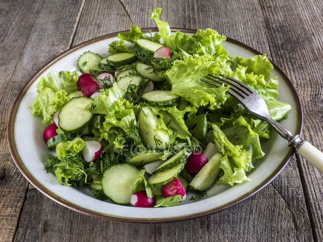 Bowl with cucumber, radish and lettuce salad over wooden table — Stock Photo