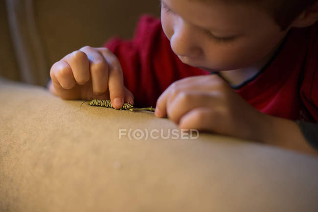 Закри зосередженим маленький хлопчик грає з гусениці — стокове фото
