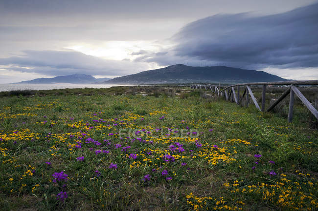 Vista panoramica sulla spiaggia di Los Lances, Tarifa, Andalusia, Spagna — Foto stock