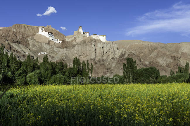 Malerischer Blick auf das Kloster und die Festung Basgo, ladakh, Indien — Stockfoto