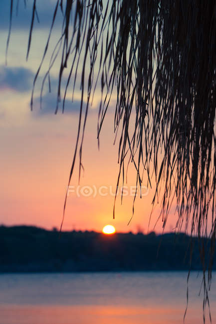 Scenic view of beach at pink sunset — Stock Photo