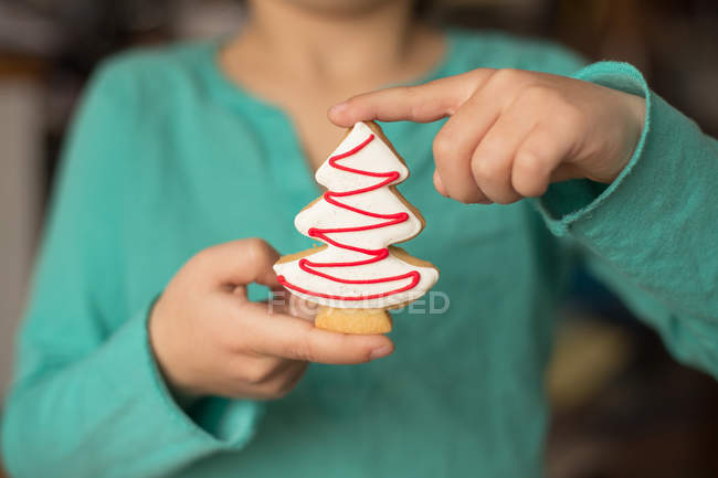 Zugeschnittenes Bild eines Jungen mit einem Weihnachtskeks in der Form eines Weihnachtsbaums — Stockfoto