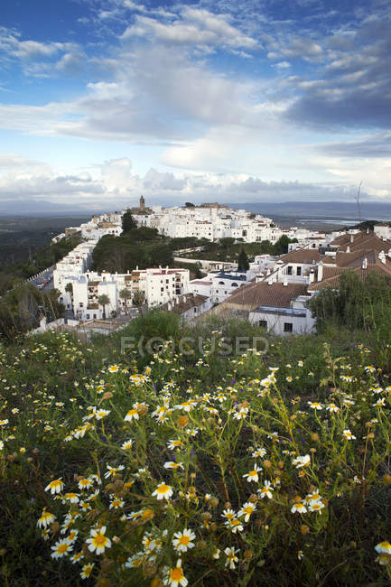 Vista elevata del paesaggio urbano, Vejer de la Frontera, Cadice, Andalusia, Spagna — Foto stock