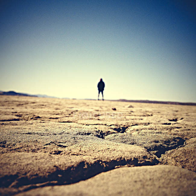 Rear view of person standing at El Mirage Dry Lake, Adelanto, California, USA — Stock Photo