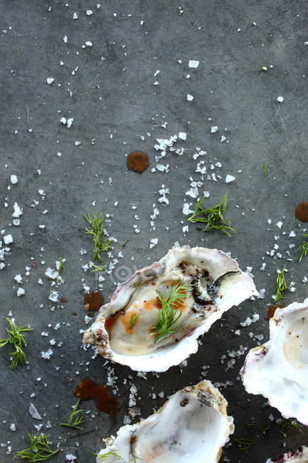 Fresh Oysters with dill and salt on grey surface — Stock Photo