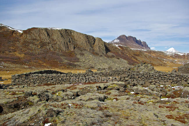 Caneta animal tradicional, colunas de basalto no fundo, Islândia — Fotografia de Stock