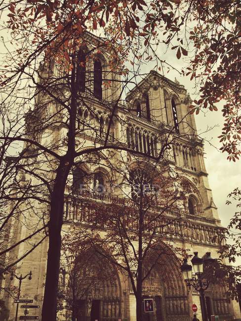 Low angle view of Notre Dame Cathedral, Paris, France — Stock Photo