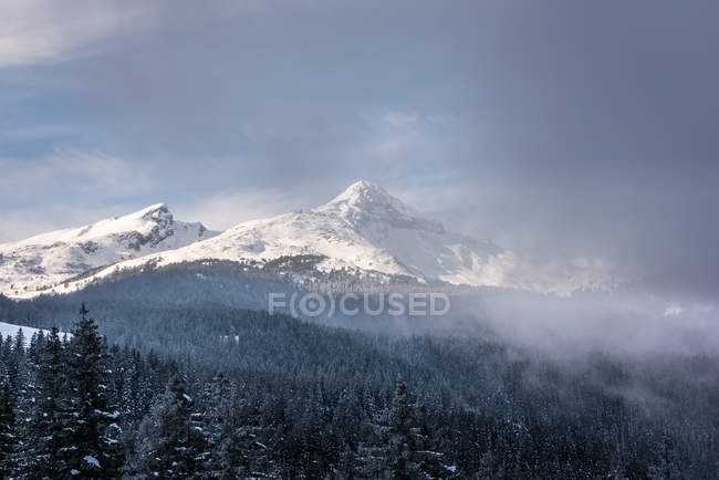 Vista panoramica della montagna di Jungfrau, Alpi Berenesi, Svizzera — Foto stock