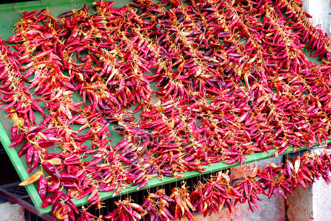 Red hot chili peppers hanging at a market — Stock Photo