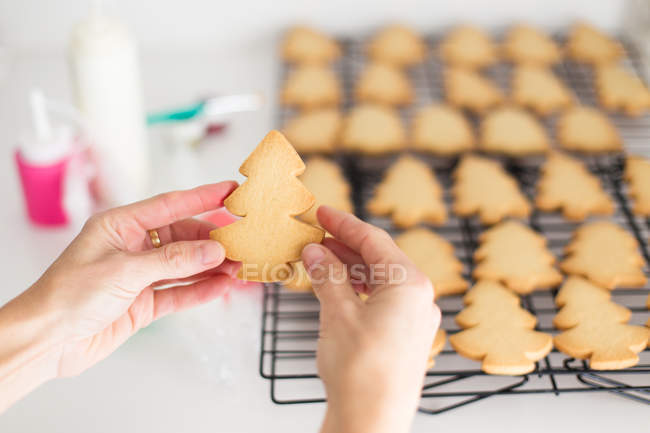 Imagem cortada de mulher preparando biscoitos de Natal em forma de árvores de Natal — Fotografia de Stock
