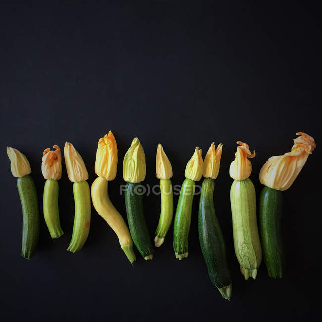 Freshly picked zucchini arranged in a row against black background — Stock Photo
