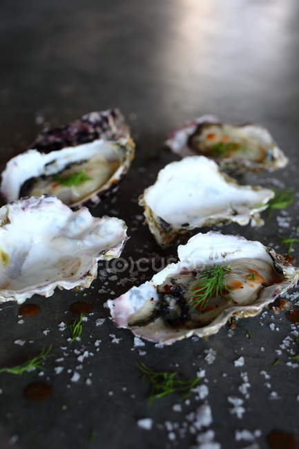 Close-up of fresh Oysters with dill on grey surface — Stock Photo