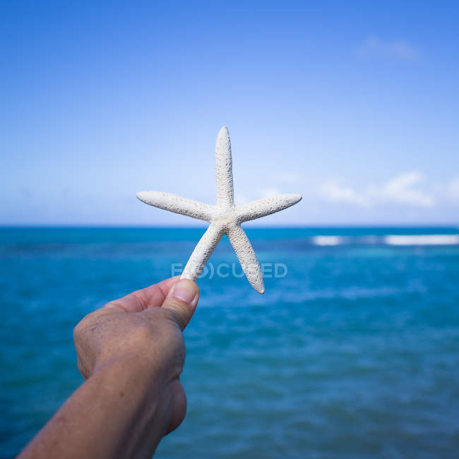 Close-up of Human hand holding starfish with sea on background — Stock Photo