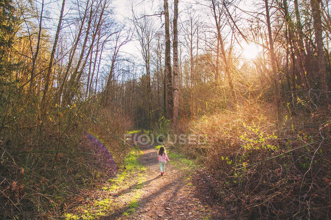 Вид сзади на девушку, бегущую через лес — стоковое фото