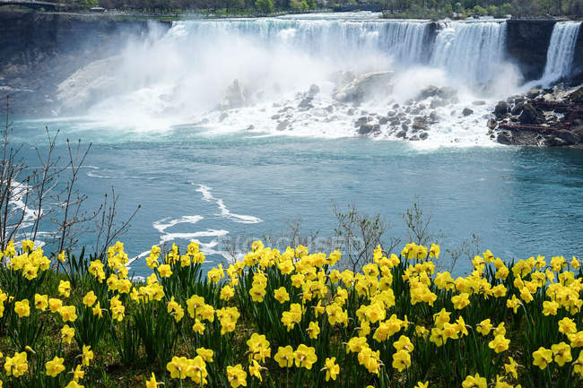 Vista panoramica delle cascate del Niagara in primavera, Canada — Foto stock