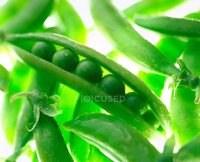 Primo piano di piselli verdi freschi in un baccello — Foto stock