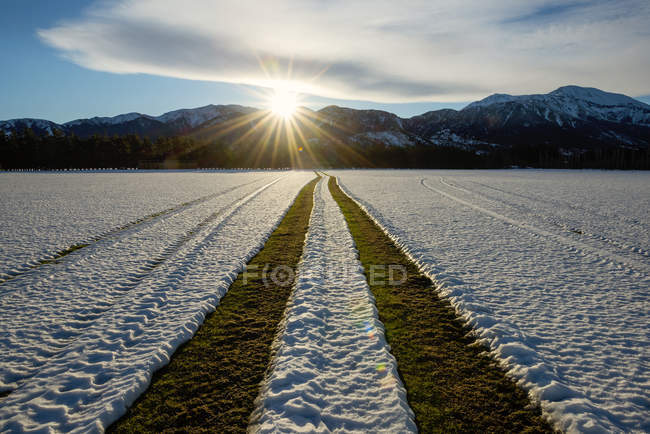 Traktorreifen-Spuren in schneebedecktem Feld, Methven, Canterbury, Neuseeland — Stockfoto