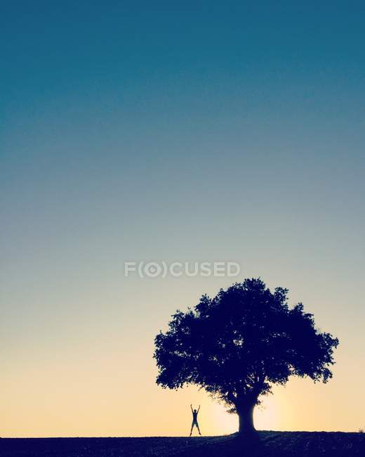 Unerkennbare Person, die unter einem Baum steht und einen Sternsprung macht, Frankreich — Stockfoto