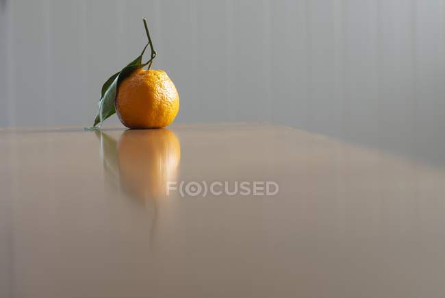 Mandarin апельсин, кидаючи відображення таблиці в порожній кімнаті — стокове фото