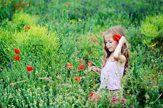 Девушка идет по цветущему маковому полю — стоковое фото