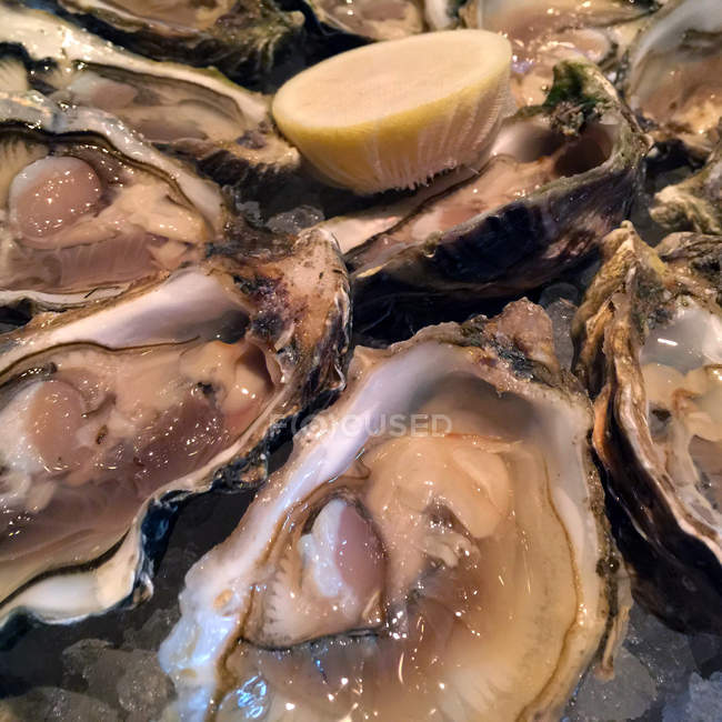 Primer plano de ostras frescas y sabrosas, deliciosas - foto de stock