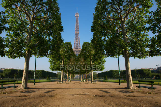 Портрет Эйфелевой башни сквозь ряд деревьев — стоковое фото