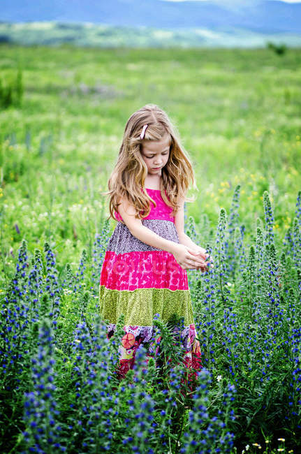 Rubia chica recogiendo flores en prado - foto de stock
