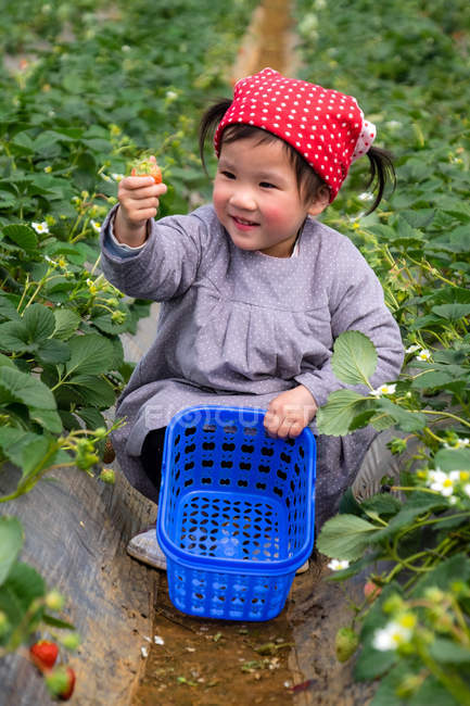 Lächelndes kleines Mädchen pflückt Erdbeeren im Garten — Stockfoto