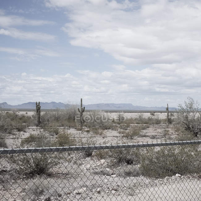 Vista panorâmica da cerca no deserto, Arizona, América, EUA — Fotografia de Stock