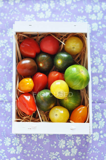 Vista dall'alto della scatola di pomodori ciliegia multicolore, sfondo colorato — Foto stock